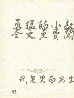 勇猛的小叔小说全文免费阅读