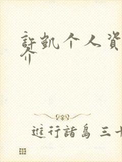 许凯个人资料简介