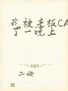 我被老板CAO了一晚上