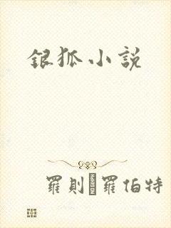 银狐小说