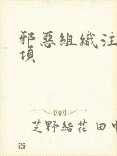 邪恶组织注意事项