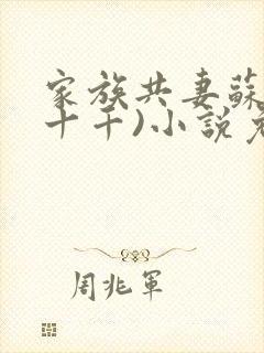 家族共妻苏苏(十千)小说免费