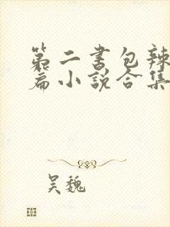 第二书包辣网短篇小说合集