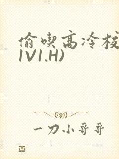 偷吃高冷校草(1V1.H)