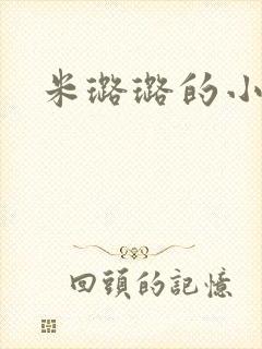 米璐璐的小说