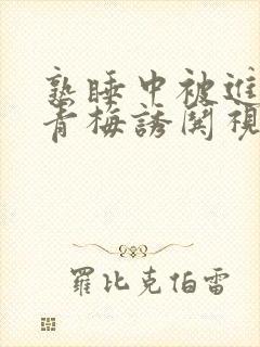 熟睡中被进了H青梅诱哄视频