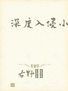深度入侵小说