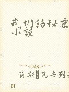 我们的秘密泰剧小说