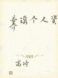 童瑶个人资料简介