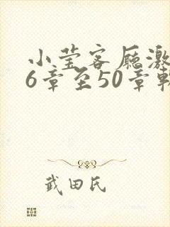 小莹客厅激情46章至50章软件介绍