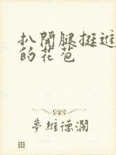 扒开腿挺进湿润的花苞