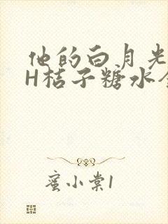 他的白月光HVH桔子糖水全文