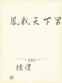 凤戏天下男