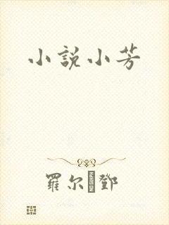 小说小芳