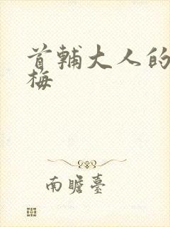 首辅大人的小青梅