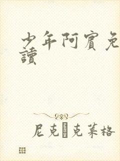 少年阿宾免费阅读
