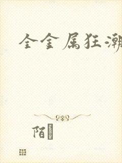 全金属狂潮小说