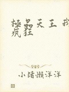 极品天王 我本疯狂