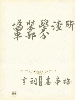 伪装学渣所有开车部分