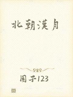 北朝汉月