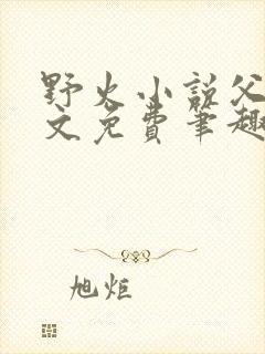 野火小说父女全文免费笔趣阁