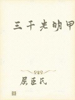 三千光明甲