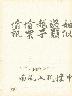 偷偷越过她by甄栗子类似小说