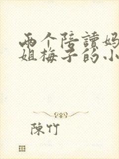 两个陪读妈妈赵姐梅子的小说