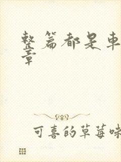 整篇都是车的文章