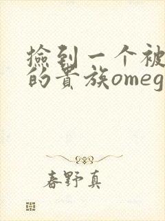 捡到一个被抹布的贵族omega