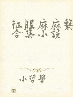 征服麻麻系列大合集小说