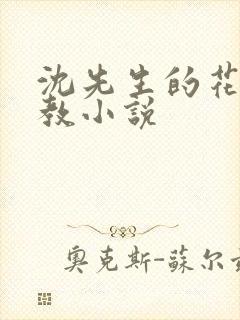 沈先生的花式调教小说