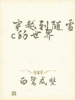 穿越到随处可以c的世界