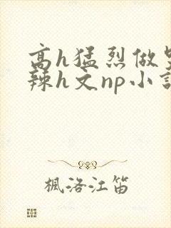 高h猛烈做哭高辣h文np小说