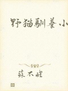野猫驯养小说