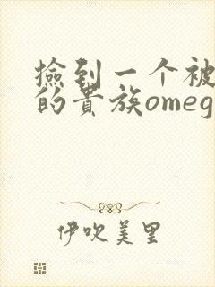 捡到一个被抹布的贵族omega