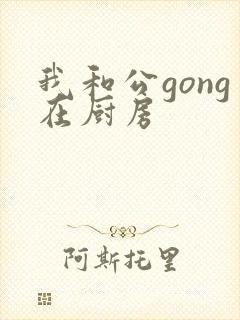 我和公gong在厨房