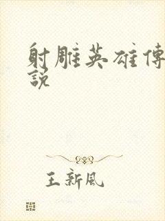 射雕英雄传 小说