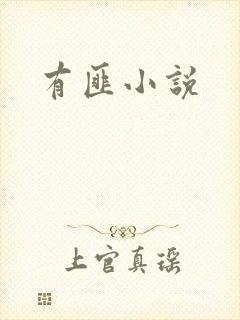 有匪小说