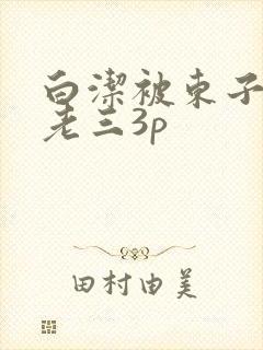 白洁被东子老二老三3p