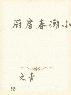 厨房春潮小说