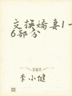 交换娇妻1一36部分