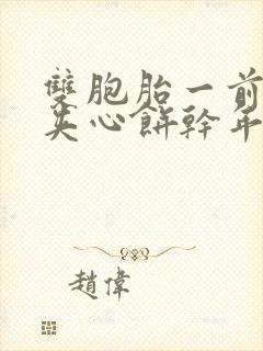 双胞胎一前一后夹心饼干年下