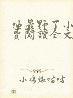 他最野了小说免费阅读全文