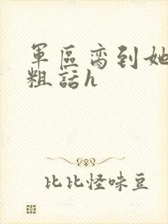 军区脔到她哭h粗话h