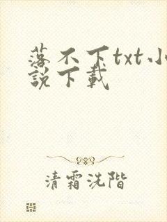 落不下txt小说下载