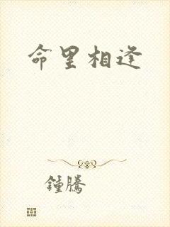 命里相逢
