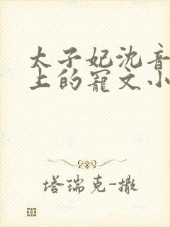 太子妃沈音和皇上的宠文小说