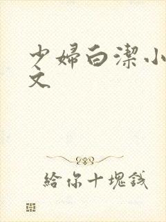 少妇白洁小说全文