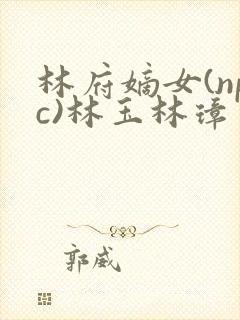 林府嫡女(npc)林玉林璋